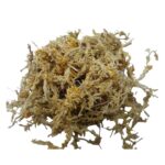 Musgo Sphagnum Moss 100 Gramos Sanitizado