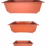 Maceta De Entrenamiento Para Bonsai Terracota