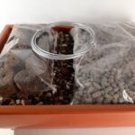 Kit Trasplante Maceta Mediano Bonsái Plástico Terracota