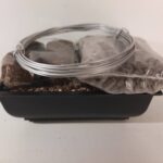 Kit Trasplante Maceta Pequeña Bonsái Plástico Negro