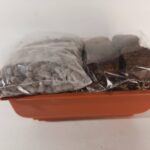 Kit Trasplante Maceta Pequeña Bonsái Plástico Terracota