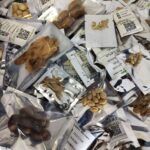 Semillas Catálogo 2025