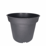 Maceta Cultivo Entrenamiento Plástico Negro
